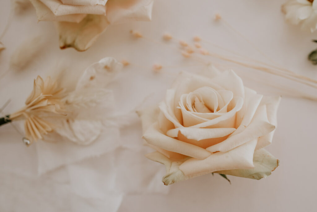 El perfume Ferrioni Rose evoca una fragancia encantadora y sofisticada que combina notas florales y frutales.